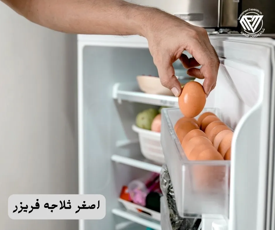 اصغر ثلاجه فريزر